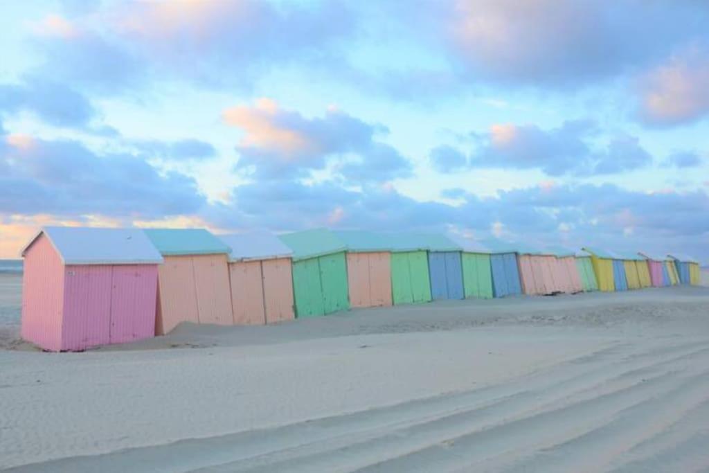 شقة Cozy D'Opale Charmant T1 Bord De Mer Cour Privee Et Clot Wifi 3 Pers Animaux Acceptes Gratuit Berck المظهر الخارجي الصورة